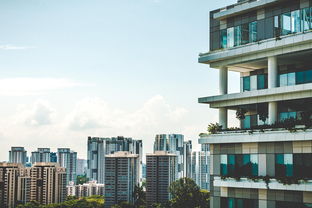 社旗房产探索社旗房屋出租市场，机遇与挑战并存