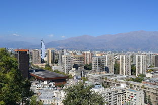 泰山路租房指南，探索城市绿洲中的居住天堂