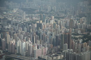 洛溪区域房产投资指南，房屋出租市场分析与策略
