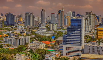 新区二手房市场分析，投资与自住的双重机遇