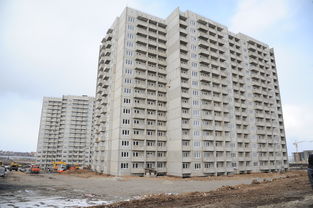 新区二手房市场分析，投资与自住的双重机遇