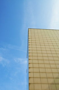 塑料板在现代建筑中的革命性应用，环保、经济与创新的完美结合
