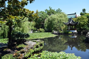 花样年花郡，城市绿洲中的温馨家园，租房新选择