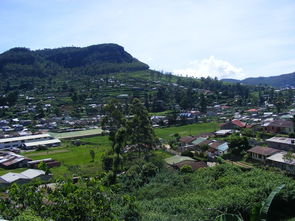 婺源租房指南，探索中国最美乡村的居住天堂