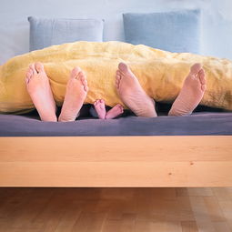 安睡宝枕头，提升睡眠质量，打造理想家居生活