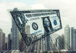 紫金二手房市场深度解析，投资与自住的黄金选择