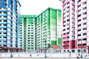 静海区房屋出租市场分析，投资与居住的双重机遇