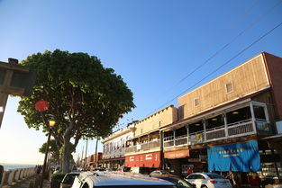 巨鹿租房指南，如何在繁华都市中找到理想的家