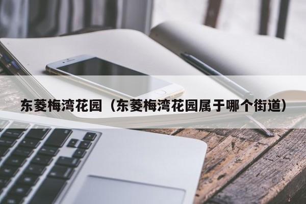 东菱梅湾花园（东菱梅湾花园属于哪个街道）