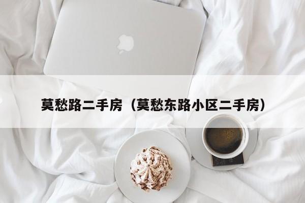 莫愁路二手房（莫愁东路小区二手房）